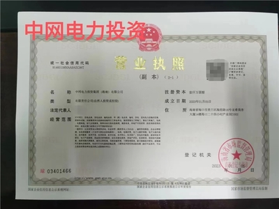 海南投資公司注冊中網電力投資集團海南轉讓