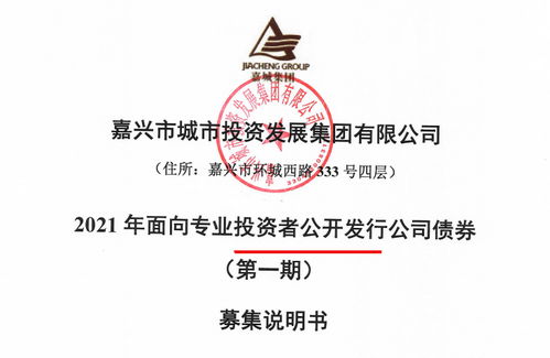 嘉城集團擬發(fā)行15億公司債券 存盈利對政府補助依賴較高風(fēng)險